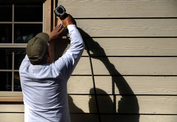 Best Brick Veneer Siding  in Lake City, AR