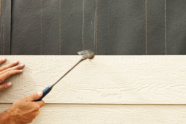 Best Custom Trim and Detailing for Siding  in Lake City, AR